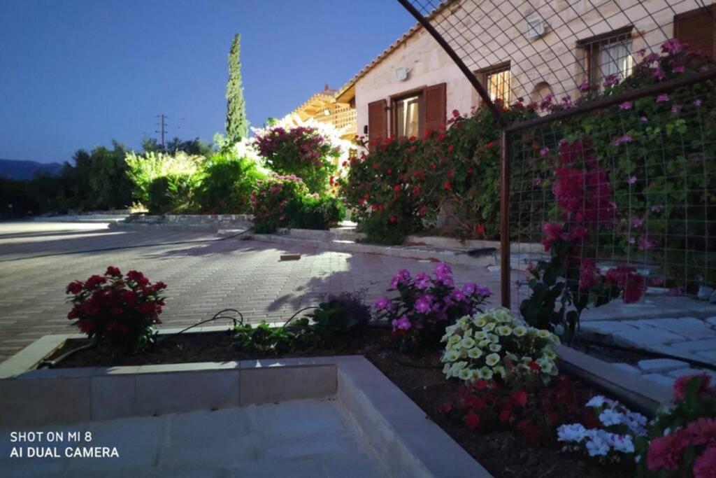 Stonehouse Olivelia - Afrathias Beach Tympáki Zewnętrze zdjęcie