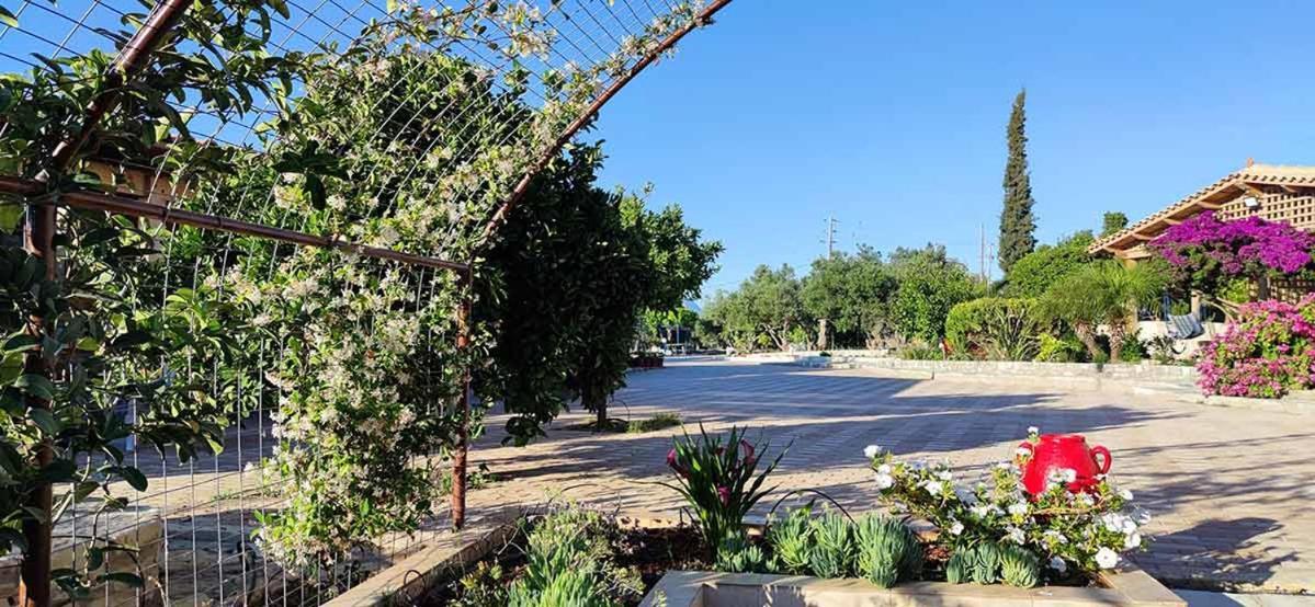Stonehouse Olivelia - Afrathias Beach Tympáki Zewnętrze zdjęcie